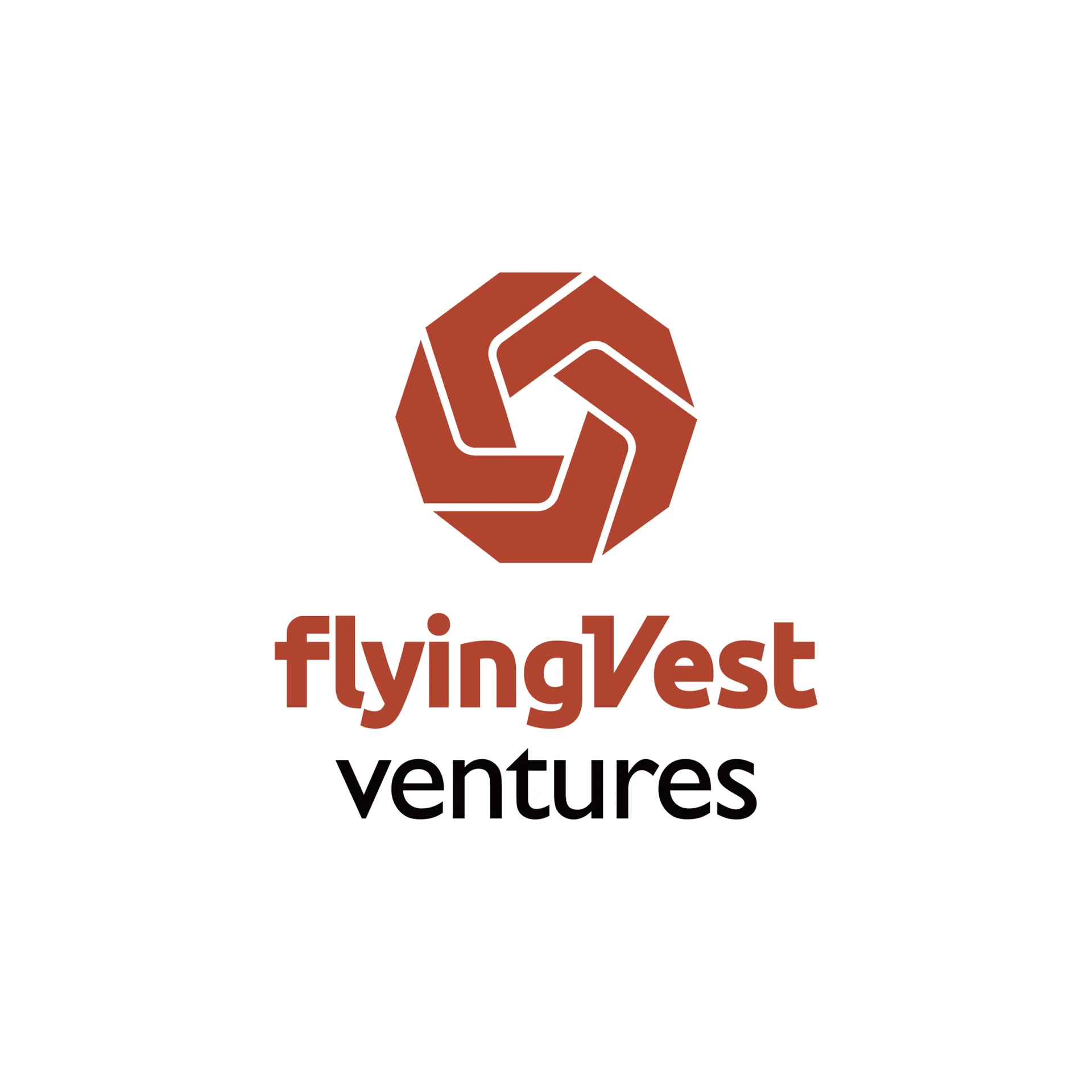 Flying Vest Ventures