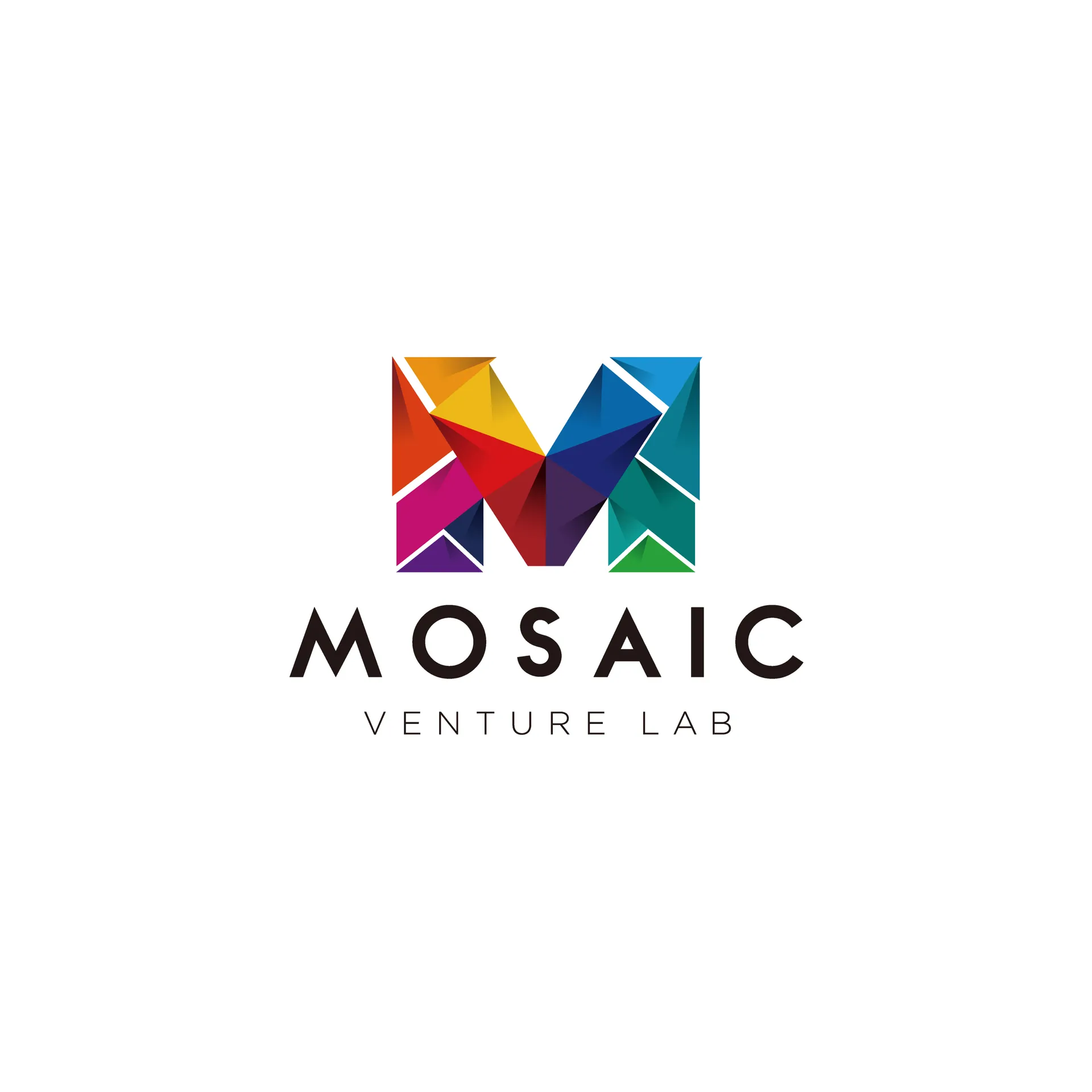 Mosaic Venture Lab